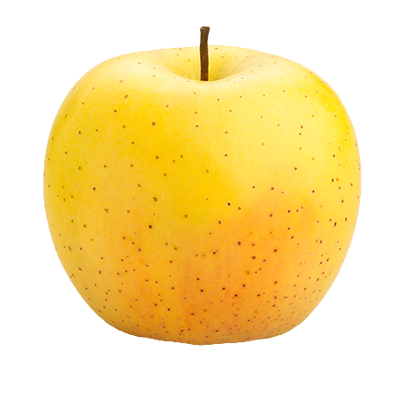 נקטרינה לבנה קטנה