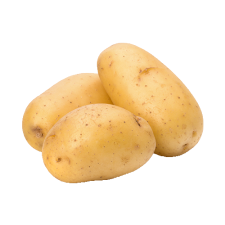 חציל בלדי