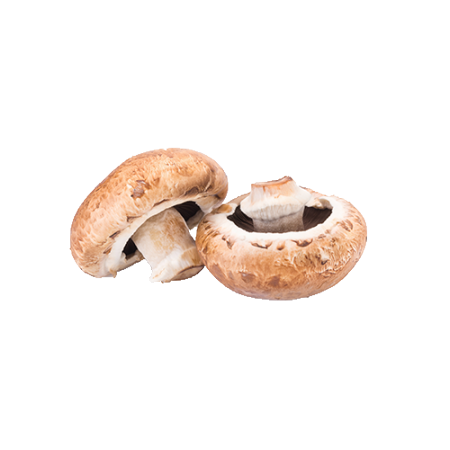 ערמונים