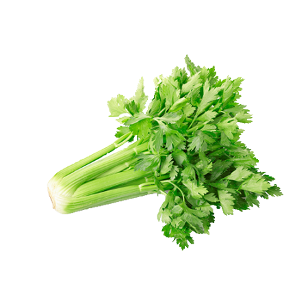 שישקה