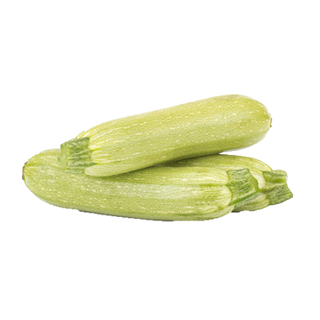 אגס זינטל