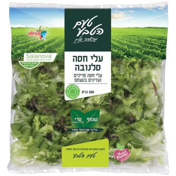 עלי חסה סלנובה