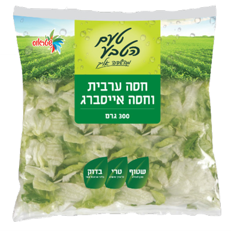 חסה ערבית ואייסברג